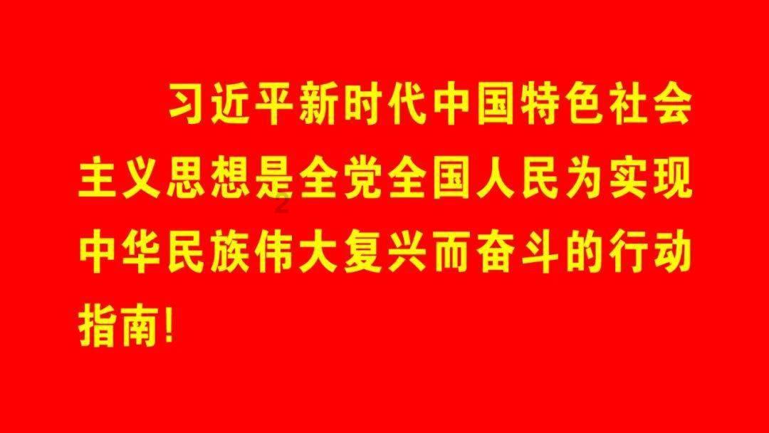 时尚的模特们